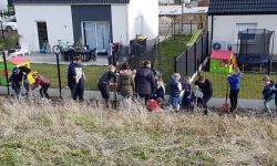 Plantations Cavalier   020